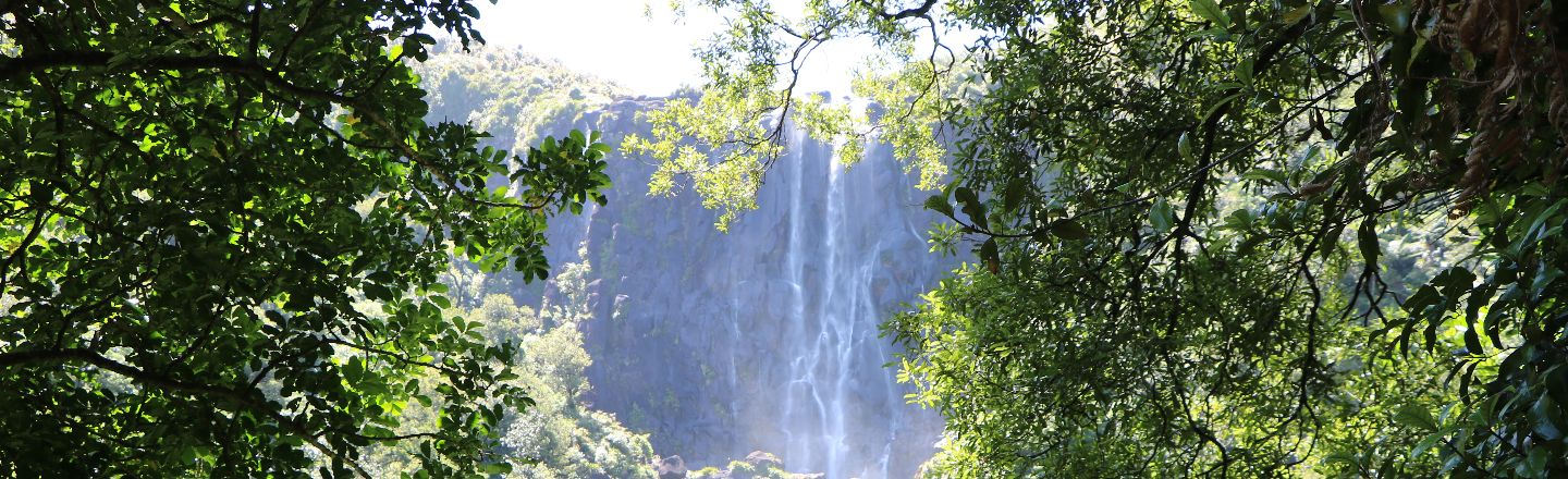 Kaimai Wairere Falls